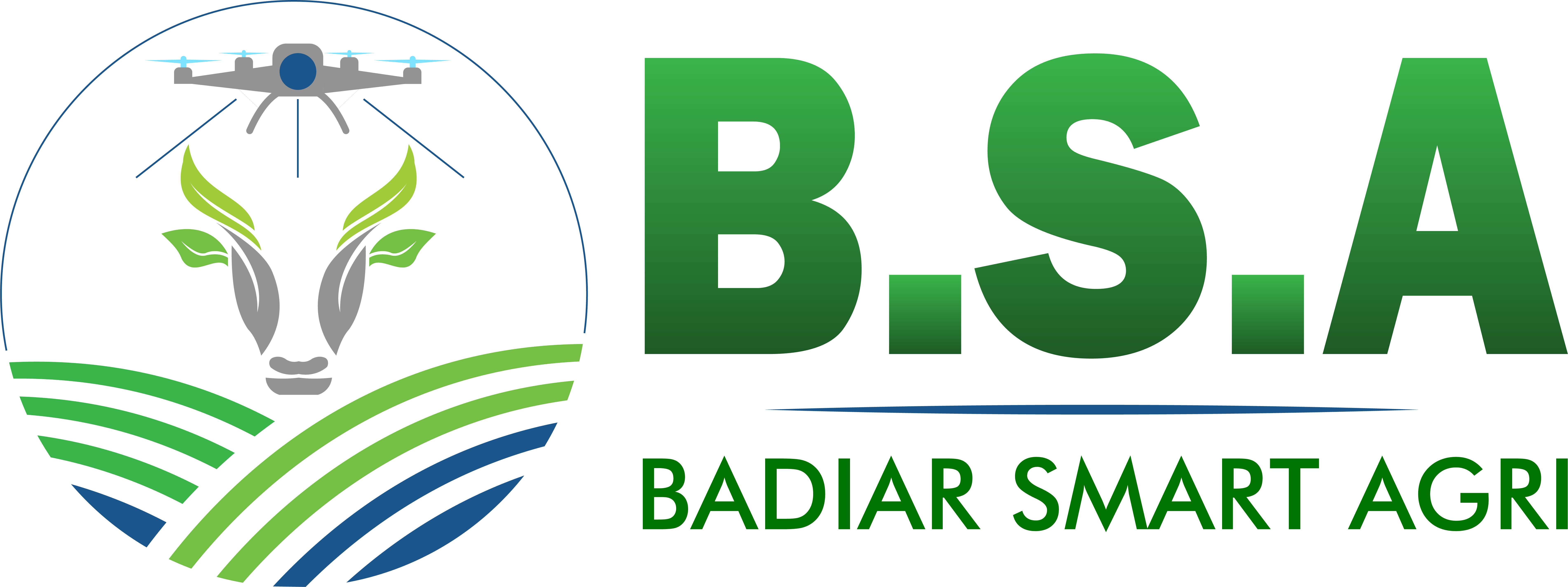 Logo BSA...